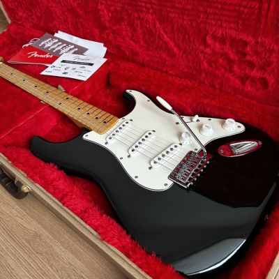 Fender Standard Stratocaster Mexico
